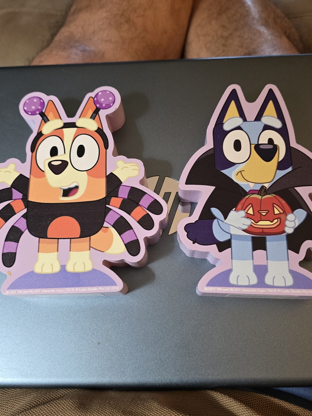 Bluey and Bingo Wooden Tabletop Decorations for Halloween NWT